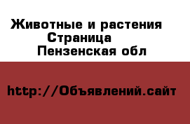  Животные и растения - Страница 26 . Пензенская обл.